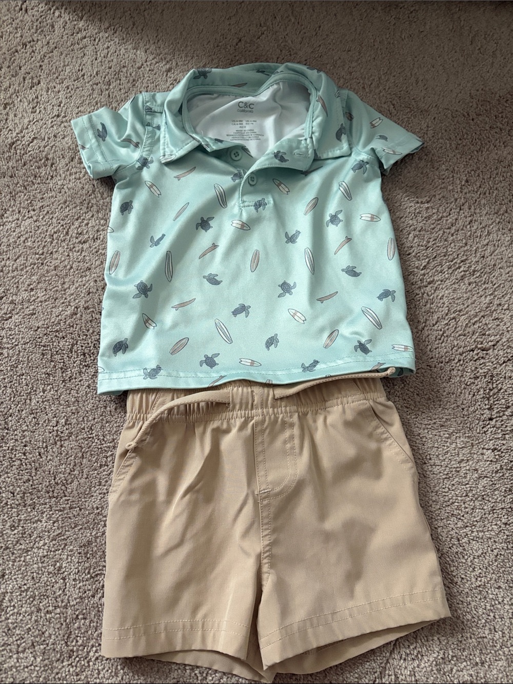 C&C California Mint Polo with Surf & Turtle Print
